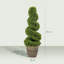 90cm Plant-135374446