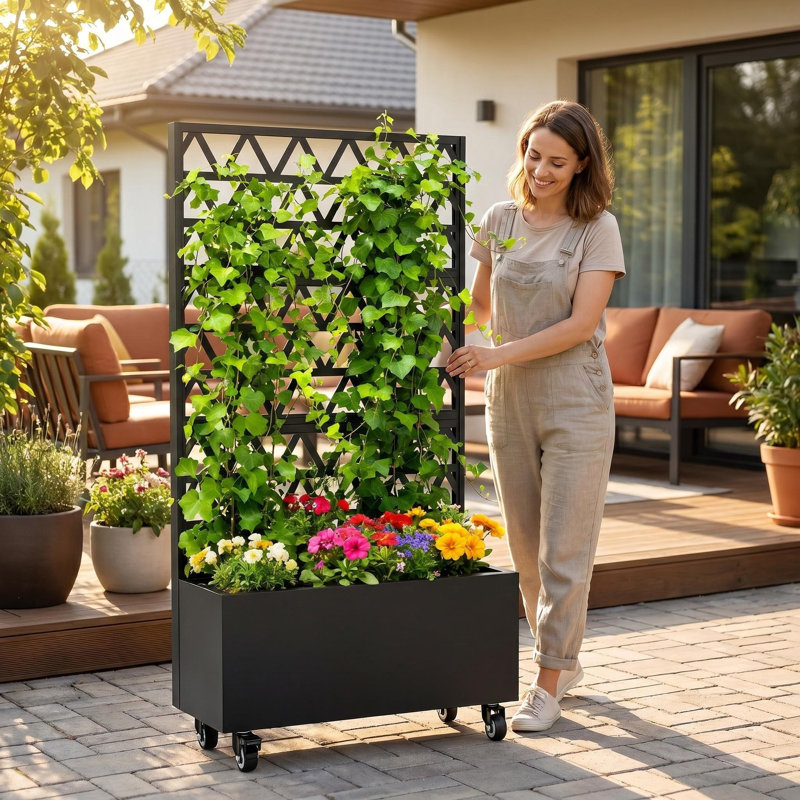 Lit de jardin surélevé en métal avec treillis, boîte à fleurs verrouillable 72 po x 36 po x 16 po - Écran d'intimité pour plantes grimpantes / trous de drainage (assemblage requis)