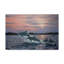 «Dolphins» par Berrien, impression sur toile tendue-27649944