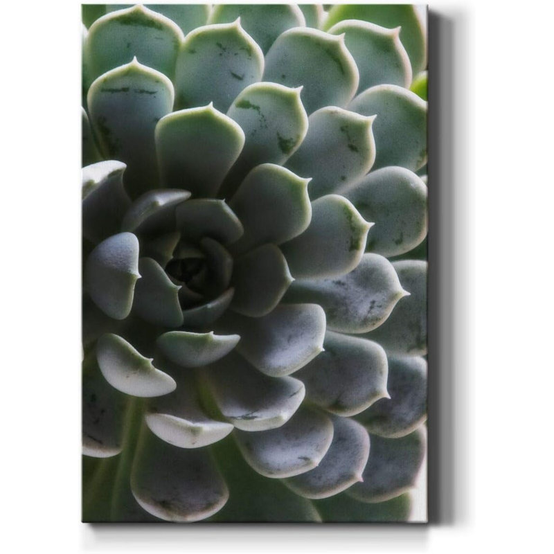 1 Piece Wrapped Canvas Wall Art