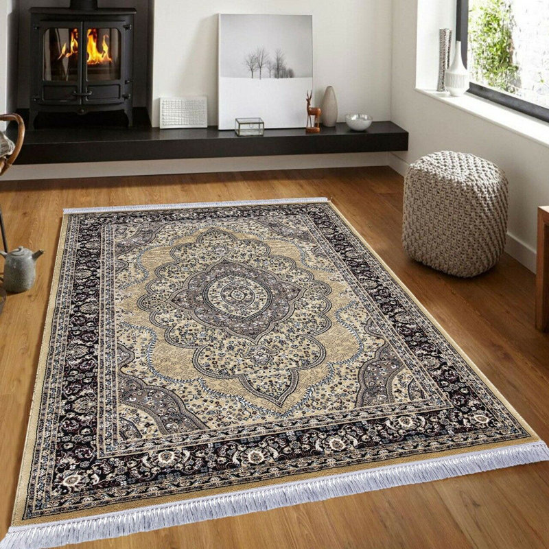 Alsey Oriental Area Rug, Rectangle 120 x 170cm
