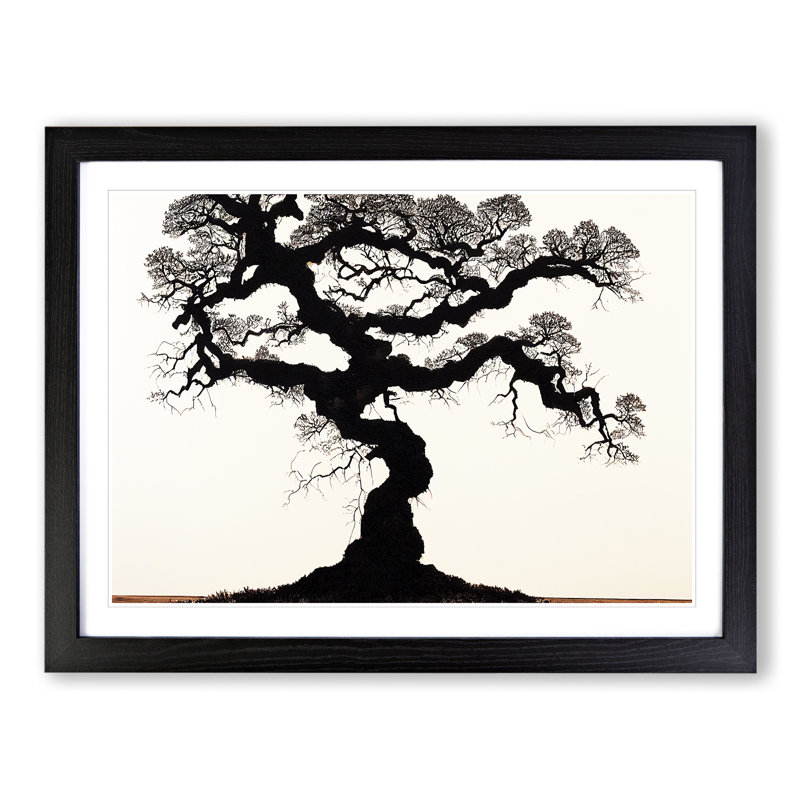 Epic Oak Tree - Single Picture Frame Painting, Black, 46cm H x 64cm W x 2cm D