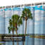 Floride, palmiers, côte historique, architecture, plage, beau, bleu, à, 12, crochets-750364199