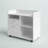 Fern Rock 31.5'' Wide 2 - Drawer Filing Storage Cabinet-1519736977