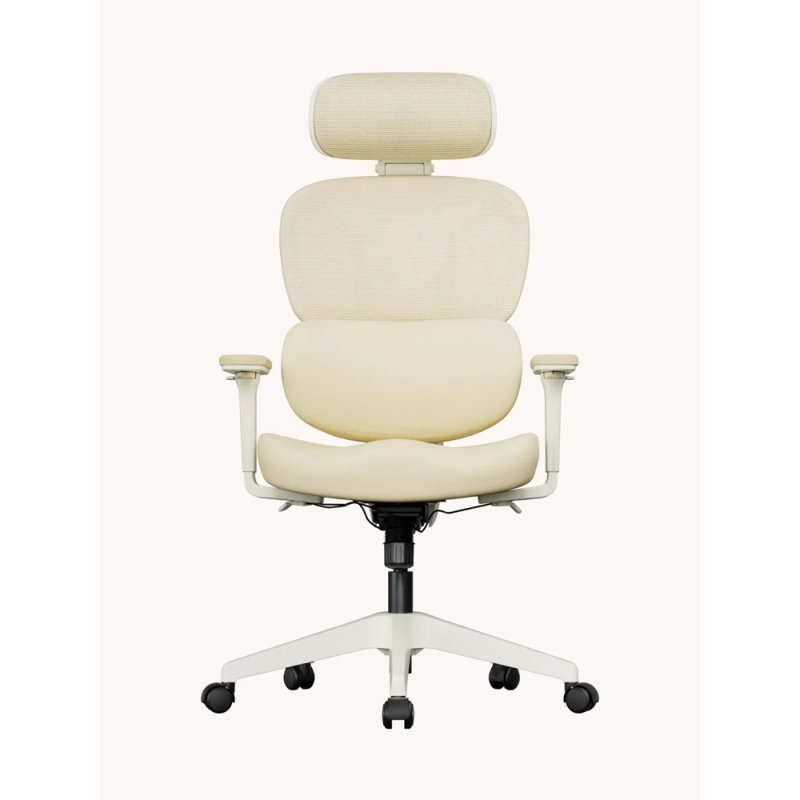 Ergonomic Mesh Office Chair with Footrest & Adjustable Headrest – High Back Reclining Desk Chair with Lumbar Support for Home Office
