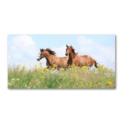 Two Horses At A Gallop - Wrapped Canvas Print
