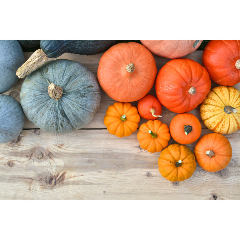Pumpkins And Squashes - Wrapped Canvas Print, 30cm H x 46cm W x 3.8cm D
