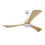 Ventilateur de plafond 52 po avec lumières-903751166-903751153