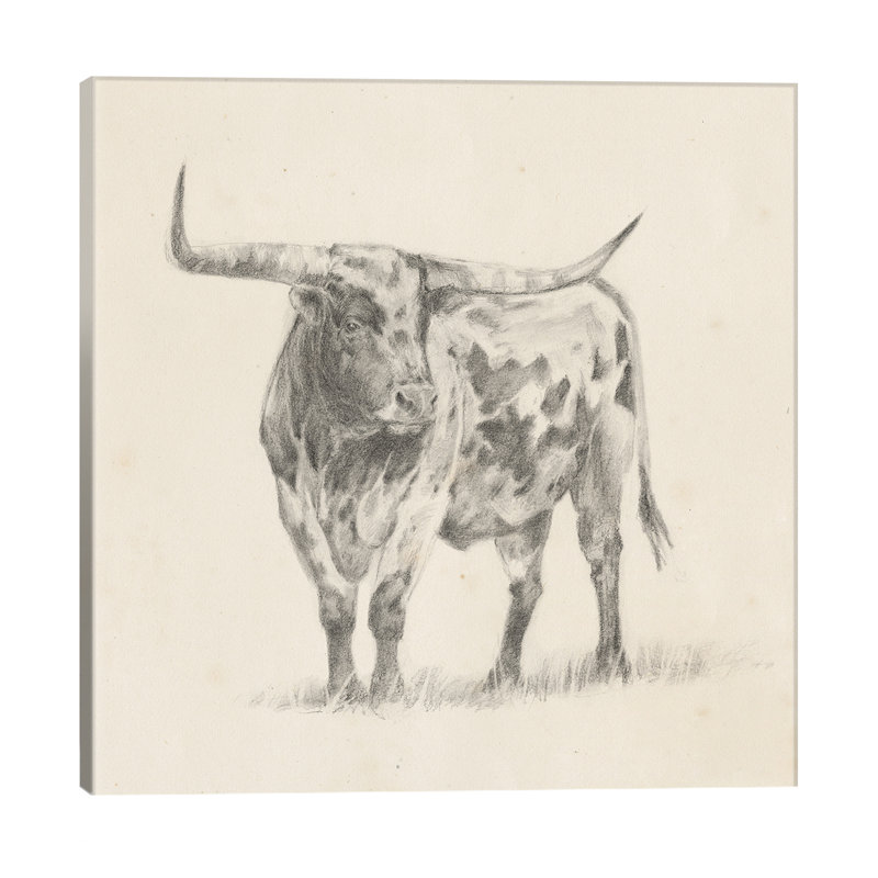 Longhorn Steer Sketch II by Ethan Harper - Wrapped Canvas Print