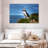 Crowle Latrabjarg Puffin Bird