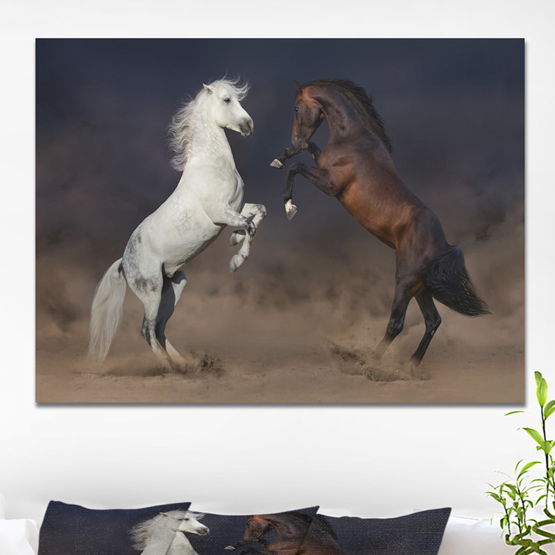 « horse combat en désert », reproduction de photo sur toile tendue, H 30 po x l 40 po x P 1,5 po