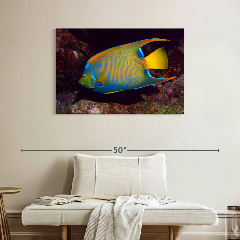 Grand poisson-ange Brampt, H 26 po x l 39 po