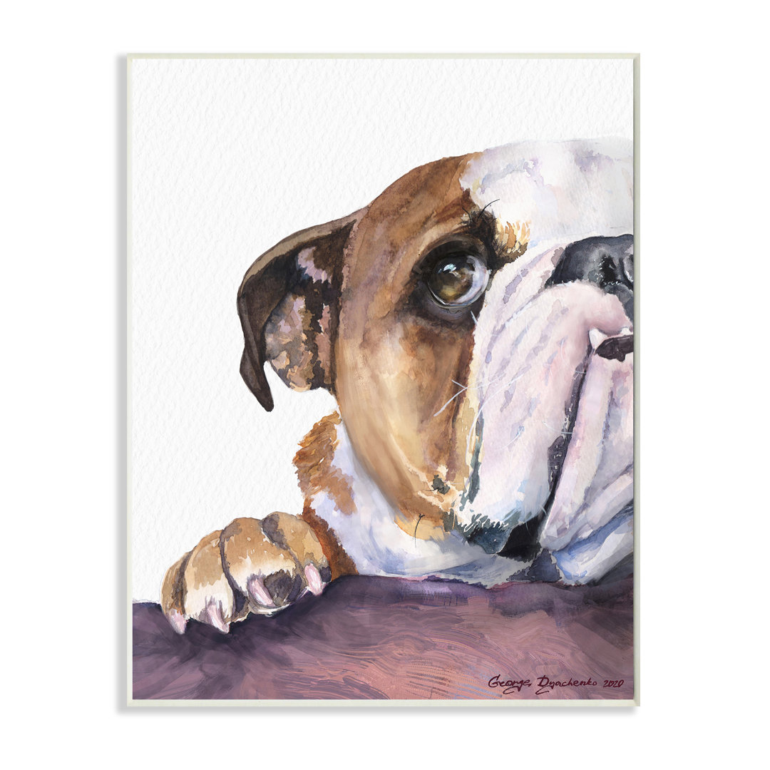 Curious English Bulldog Gaze Pet Dog Portrait Winston Porter 