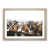 Oak Framed selected