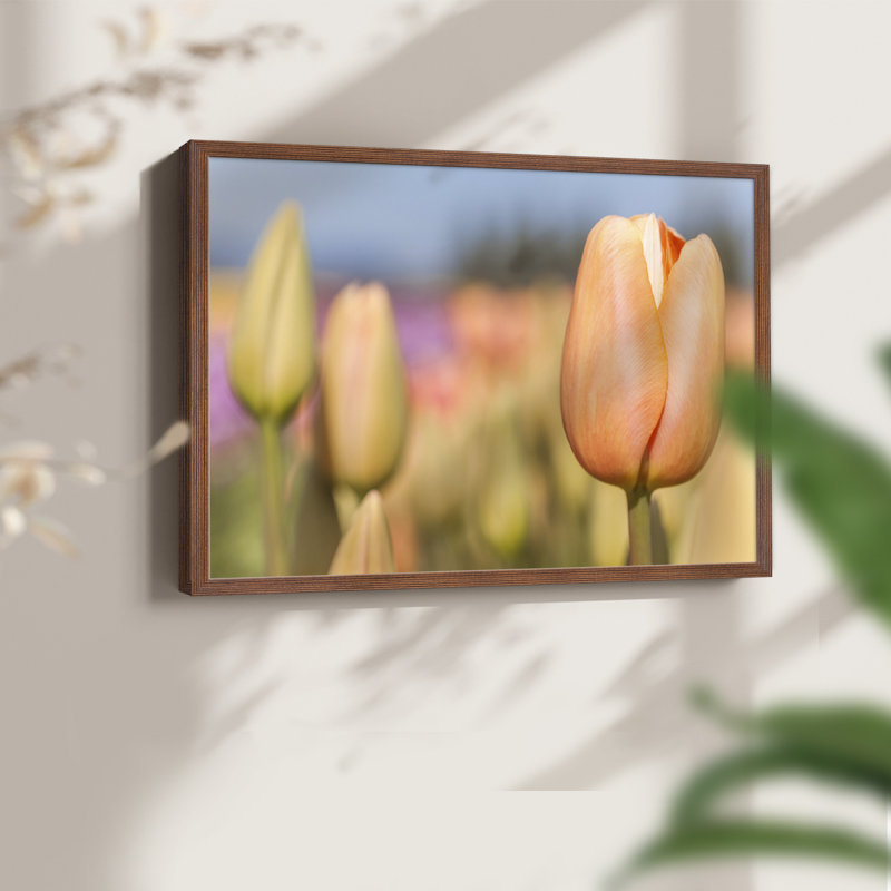 S'ouvrir au soleil - Reproduction encadrée - Restickable, H 8 po x l 10 po, Noyer
