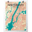 « new york city map », reproduction d’impression sur affiche en vert-22633112