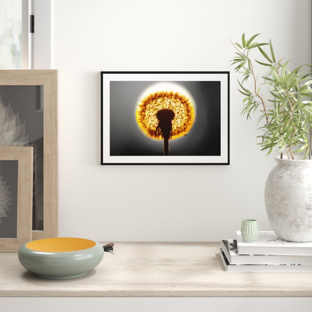 Gerahmtes Poster Pusteblume vor untergehender Sonne