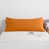 Orange / palmiers