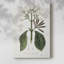 Tropical Botanical IV - Cavas enveloppés de galerie-1483249423