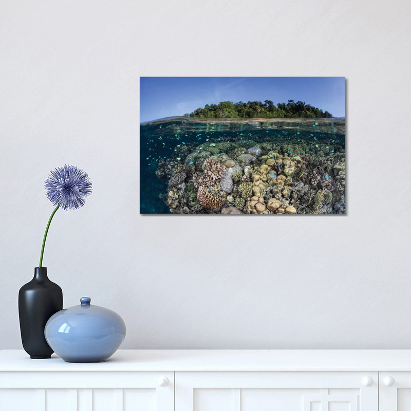 A Diverse Coral Reef Grows In Shallow Water In The Solomon Islands II by Ethan Daniels - Wrapped Canvas Print