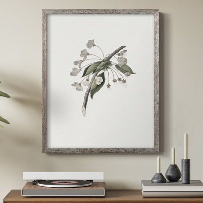 Vintage Floral Print CCVIII Framed Print - Solid Wood