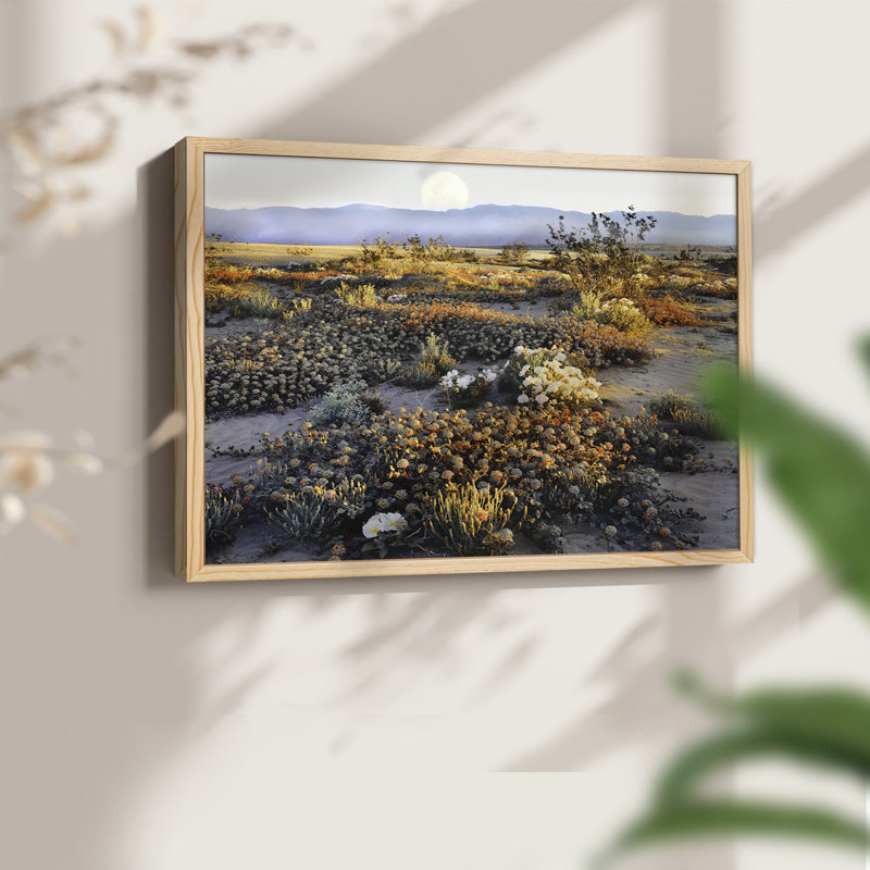 Anza Borrego - impression encadrée - réaménageable, Naturel, H 11 po x l 14 po
