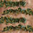 Lighted Fresh Faux Magnolia Garland