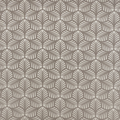 Sonia Fabric