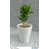 Travertine White