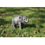 Statue bébé éléphant