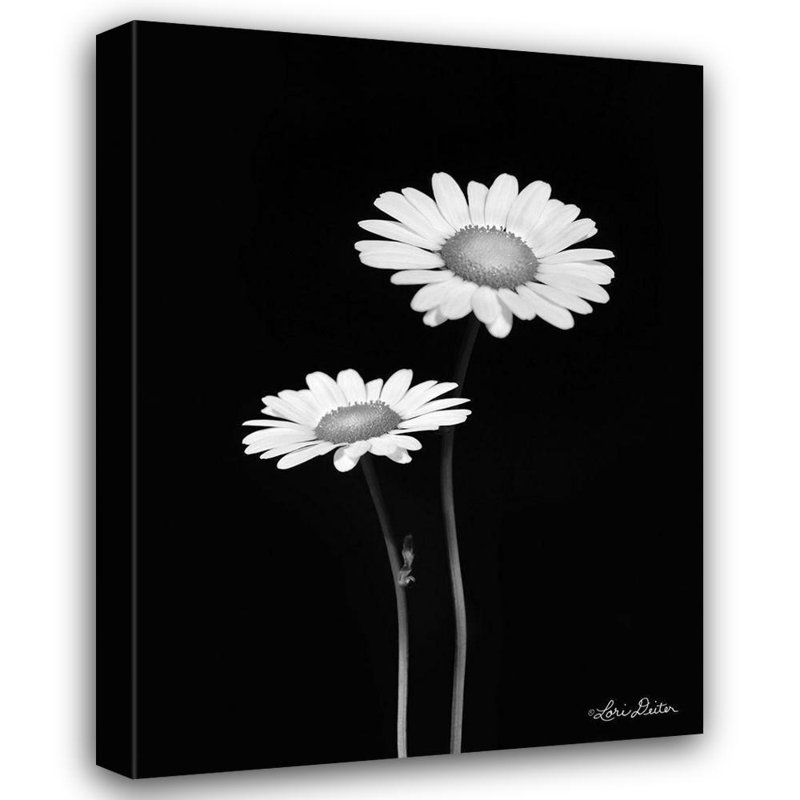 «Latitude Run® Deiter, Lori Gallery», art sur toile tendue: Paire de marguerites, H 24 po x l 19 po