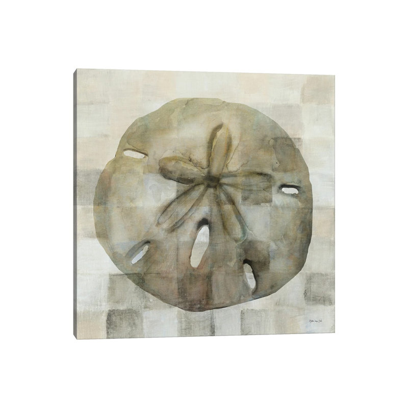Sand Dollar by Stellar Design Studio - Painting on Canvas, Wrapped Canvas, 45.72 cm H x 45.72 cm W x 1.91 cm D