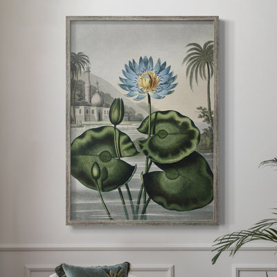 Temple of Flora IX Framed Print - Solid Wood