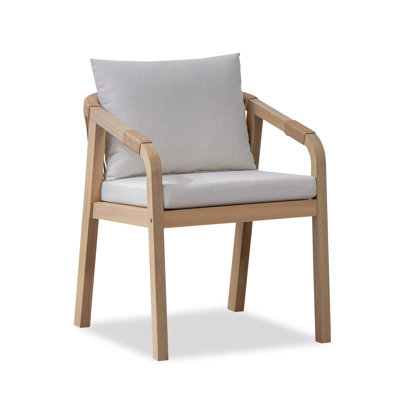 Axel Eucalyptus Wood Outdoor Dining Chair with Cushions (set of 2)