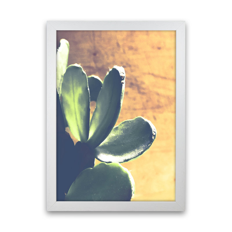 Cactus - Print, 60cm H x 42cm W x 3cm D, White Framed