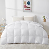 600in³/oz Fill Power Winter Goose Down Comforter