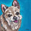Too Cute Chihuahua 1 Piece Wrapped Canvas Painting-1086234649