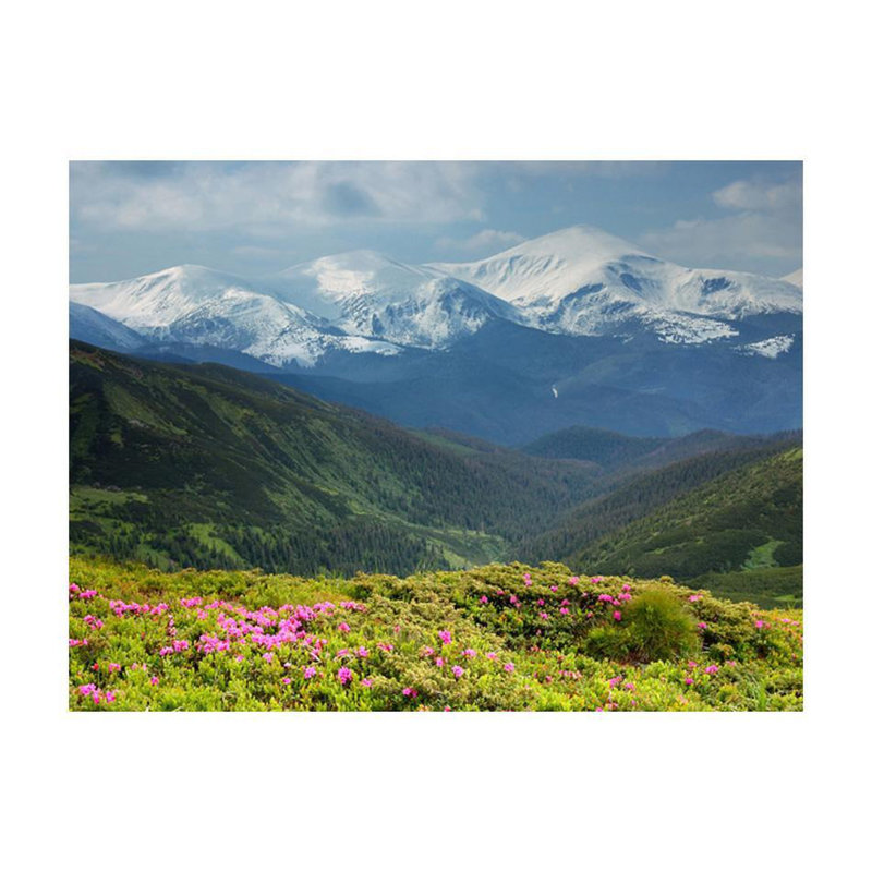 Murale printemps paysage de montagne, L 121 po x l 157 po