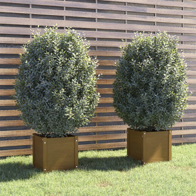 Wood Pot Planter