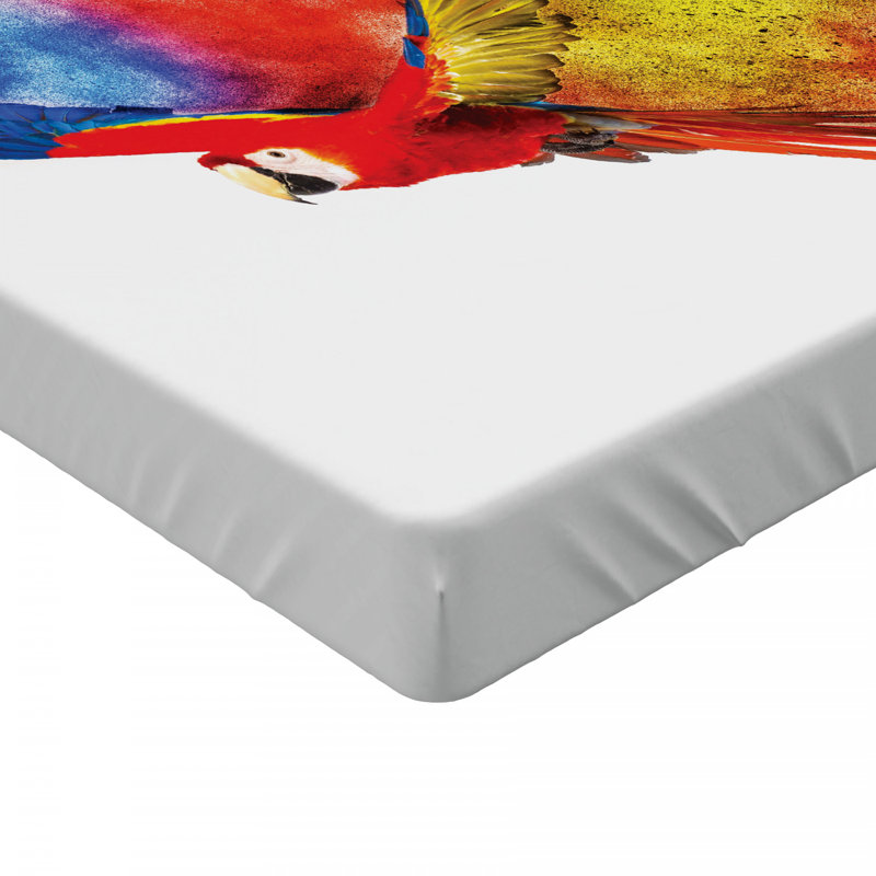 Drap-housse perroquet, Drap-housse grand