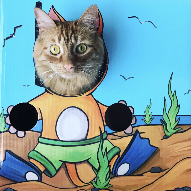 Maison pour chat Karaman