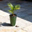 Grands pots à fleurs en plastique avec trou de drainage, ensemble de 2 pots à fleurs décoratifs ronds vert lustré à texture martelée pour une utilisation intérieure et extérieure