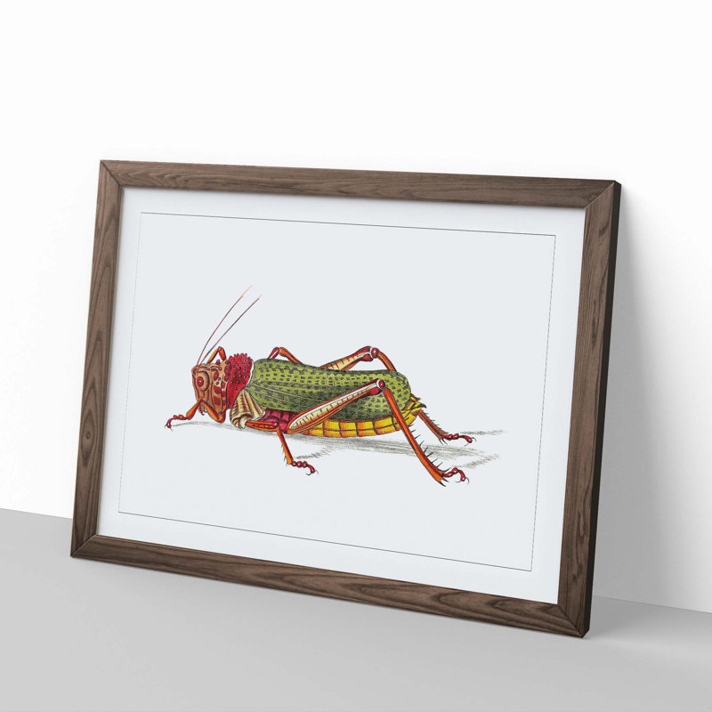 Granulated Locust by George Shaw - Framed Print, 27cm H x 36cm W x 2cm D, Walnut Framed