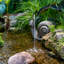 Fontaine  résistante aux intempéries