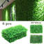 60cm Plant