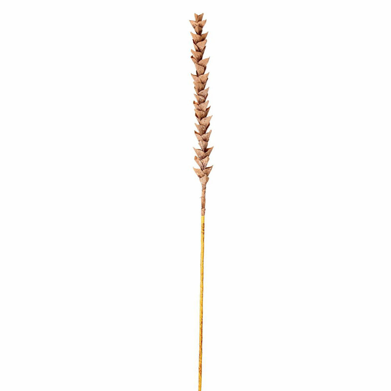 3 tiges de polynésien artificiel Primrue de 34 po 3 / sac. Comprend une tige polynésienne à base de papier., Brun
