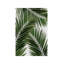 Palm Leaf Iii by Orara Studio - Wrapped Canvas Print-2142217428