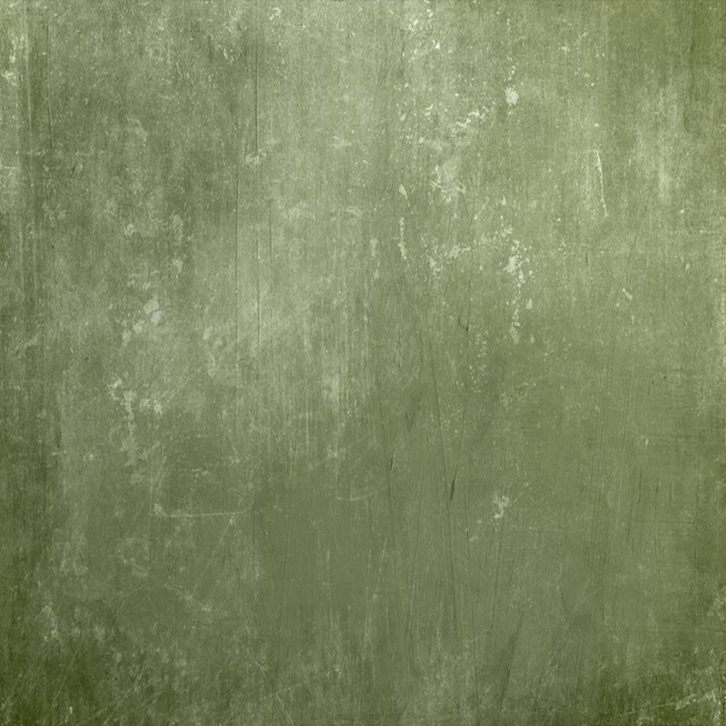 Olive Green Concrete Texture Wall Mural, 204" L x 114" W