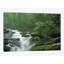 Reproduction de photo sur toile-30526351