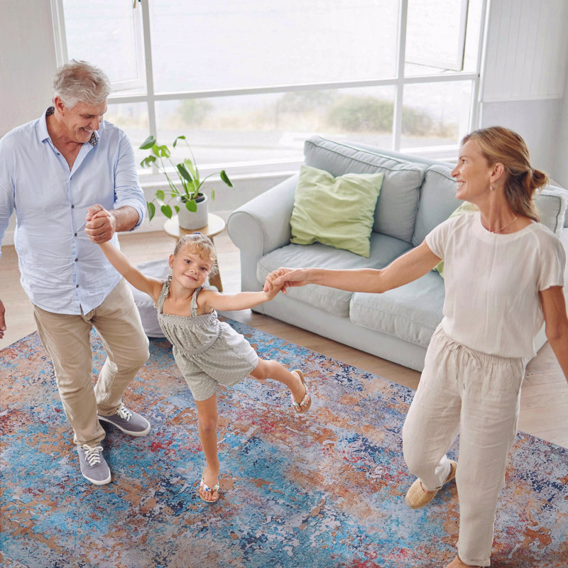 Area Rug, Washable Function Rug, Low-Pile Design, Non-Slip Function, Non-Shedding Function, Foldable Function, Kid & Pet Friendly